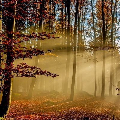 永乐国际app下载