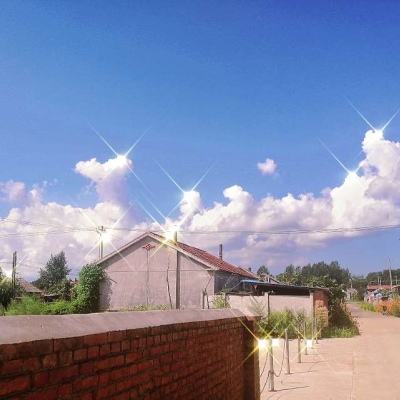 华体会体育截图