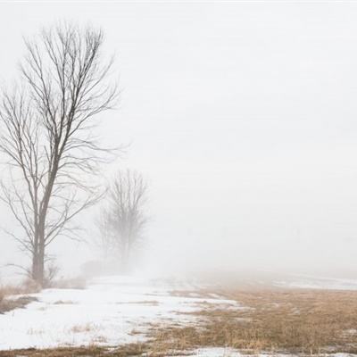 江南官方全站app下载