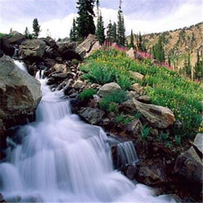 好运彩下载手机版