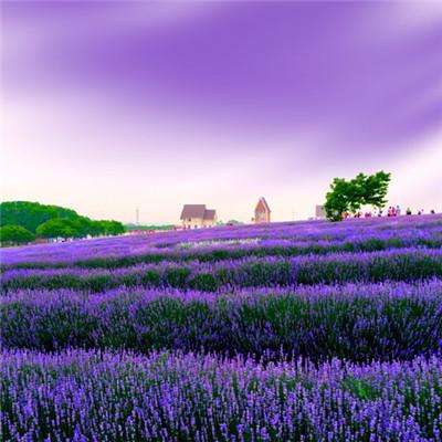 爱体育官方app下载手机版